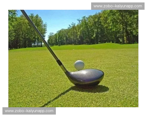 高尔夫图集：绿茵·光影·人生